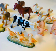 Load image into Gallery viewer, Curios - Farm Animal Two Tubes
