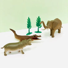 Load image into Gallery viewer, Curios - Wild Animal Playset
