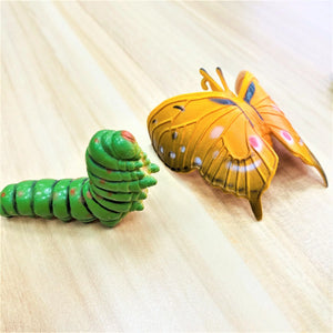Curios - Butterfly & Frog Life Cycle