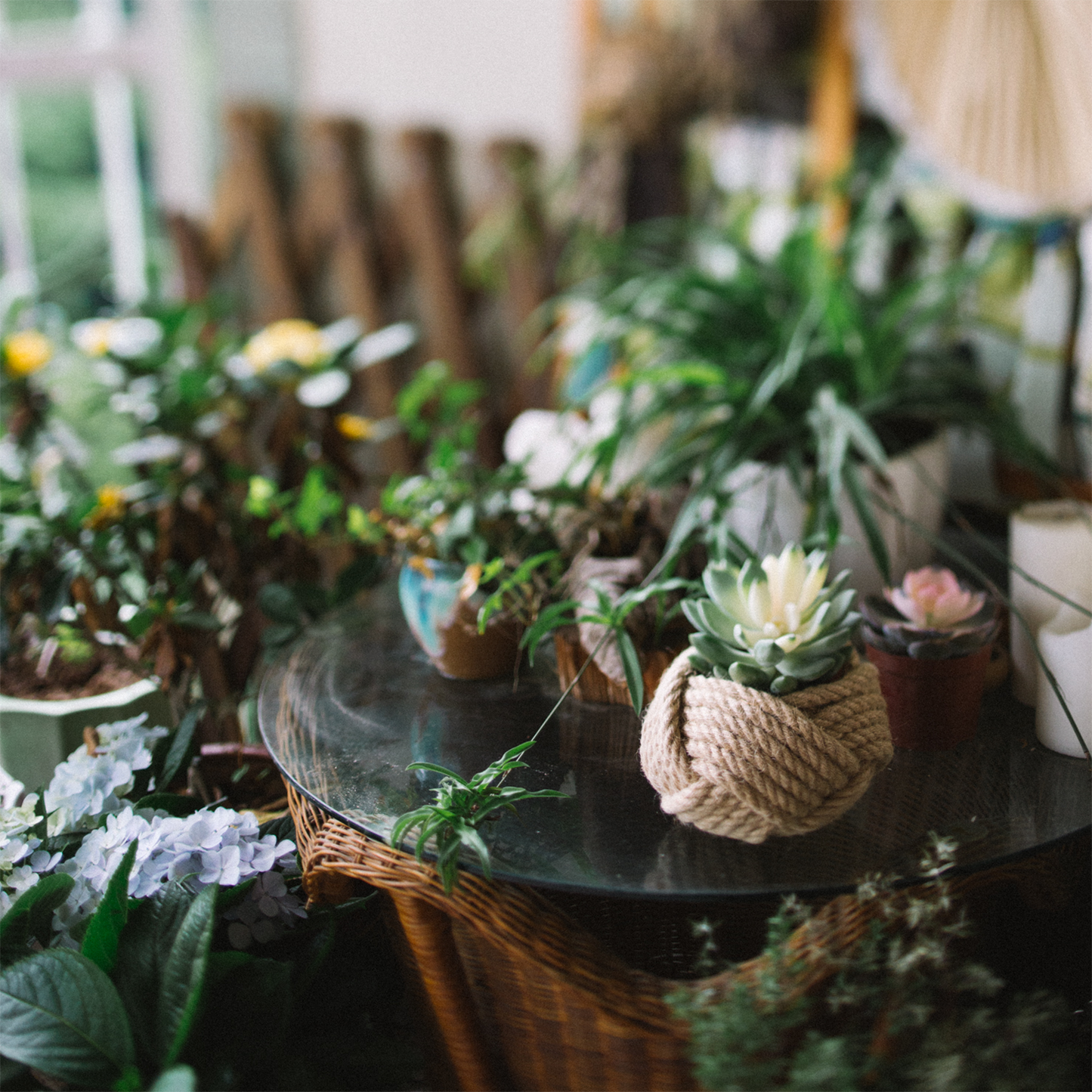 Monkey Knot Planter