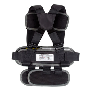 USA RideSafer travel portable carseat 3-12 year old free shipping